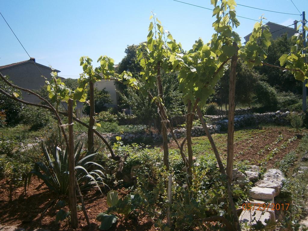 Holiday Home Loznati Cres Bagian luar foto