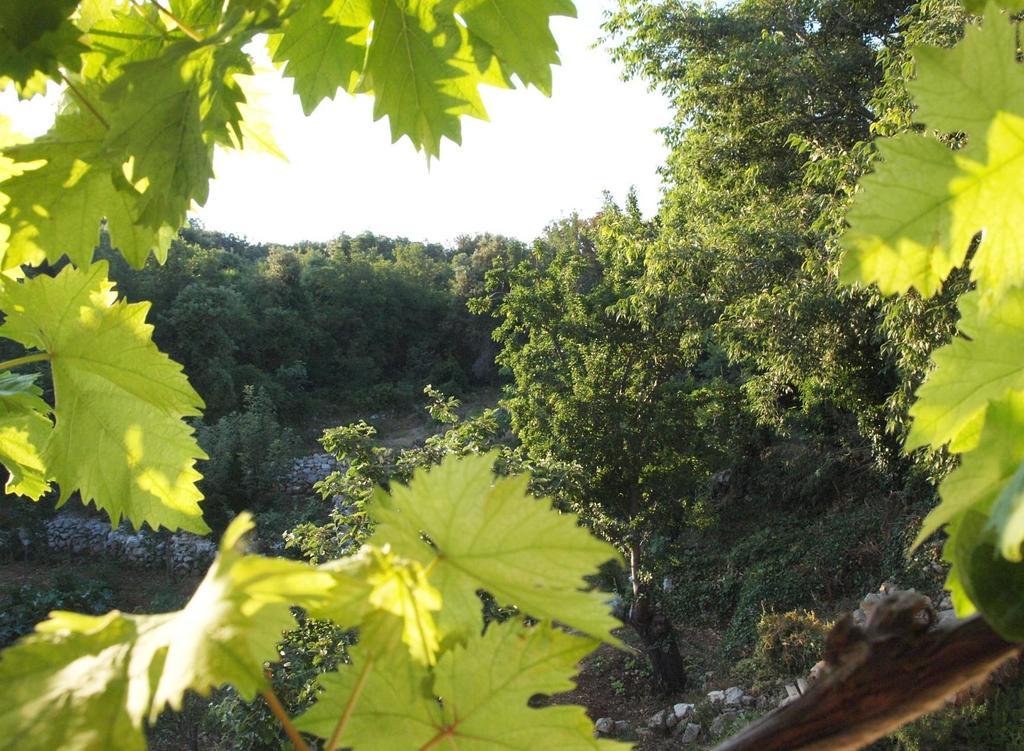 Holiday Home Loznati Cres Bagian luar foto