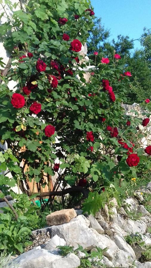 Holiday Home Loznati Cres Bagian luar foto